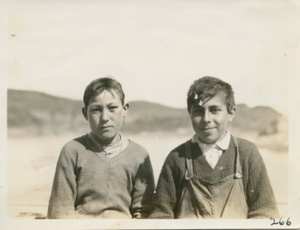 Image: Two Labrador Boys Liveyere